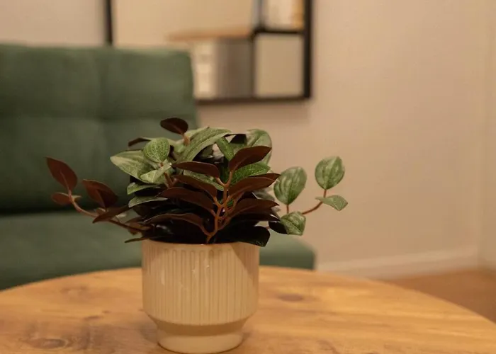 The Uppertown Nest, By Jo & Key Living 아파트 테살로니키